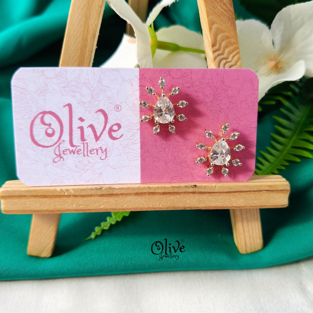 AD Earrings-0109