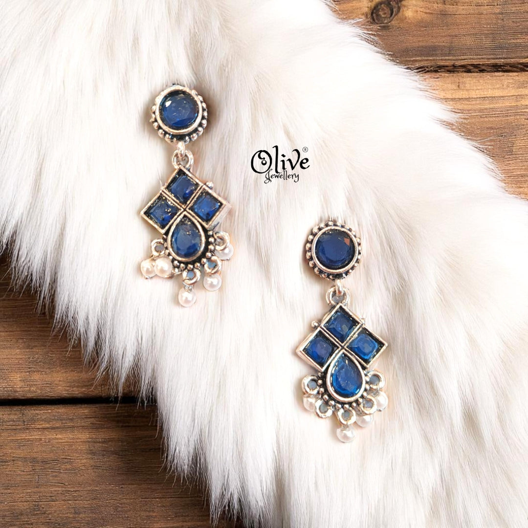Oxidized Earrings - 488