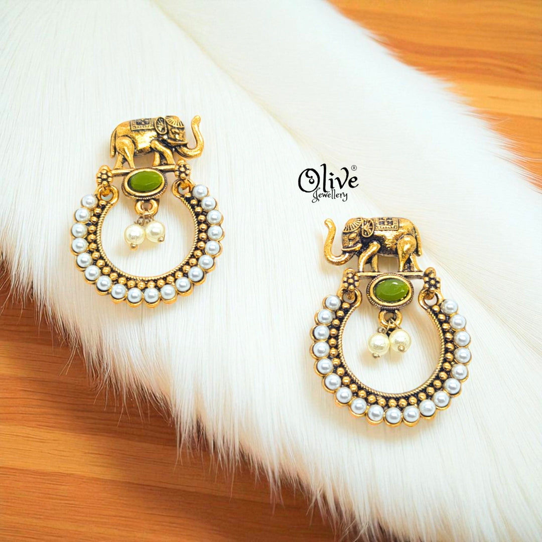 Oxidized Earrings - 574