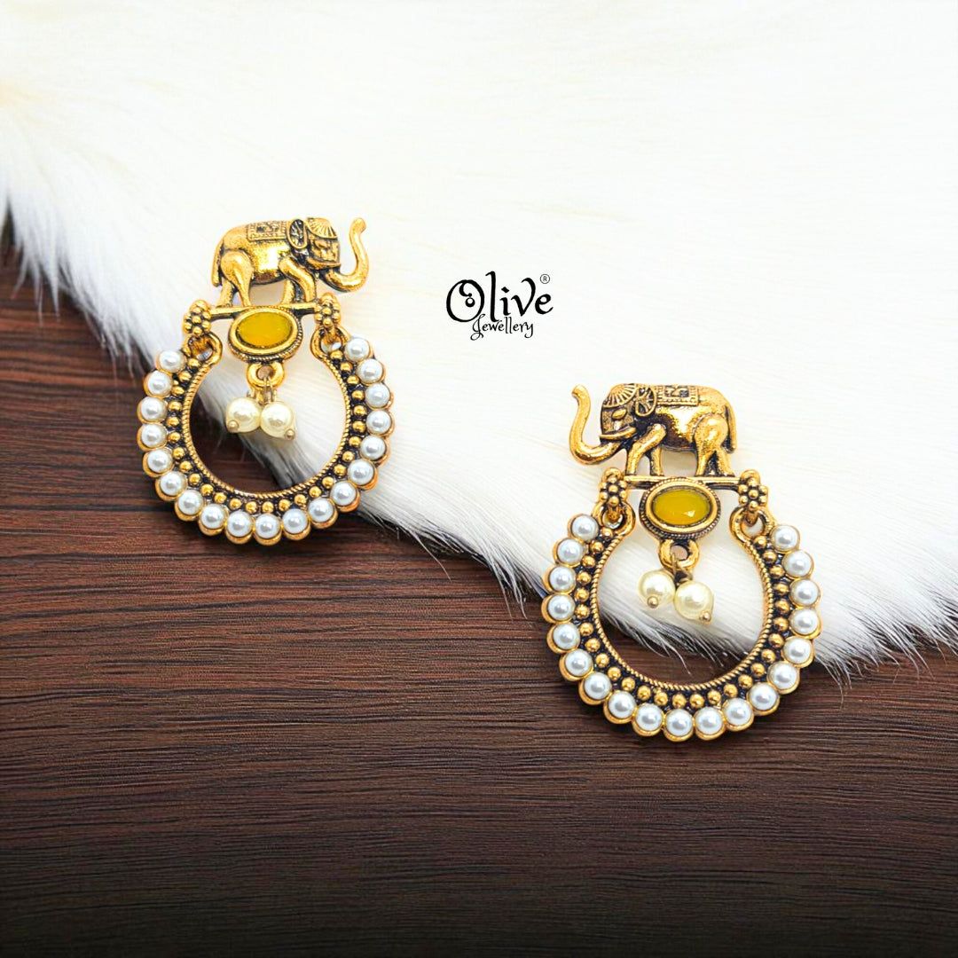 Oxidized Earrings - 574