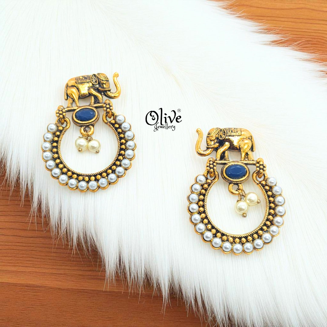 Oxidized Earrings - 574