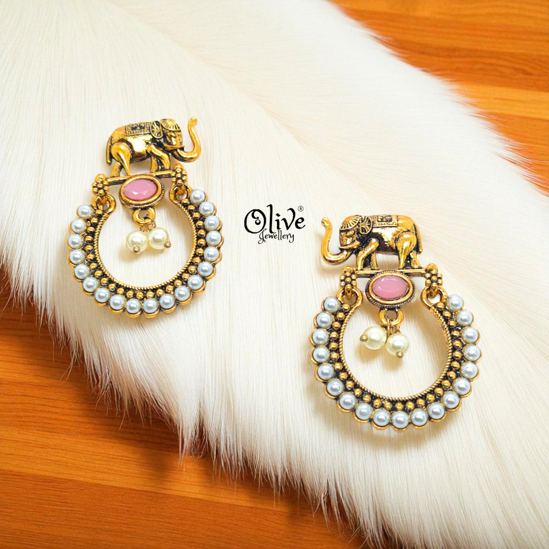 Oxidized Earrings - 574