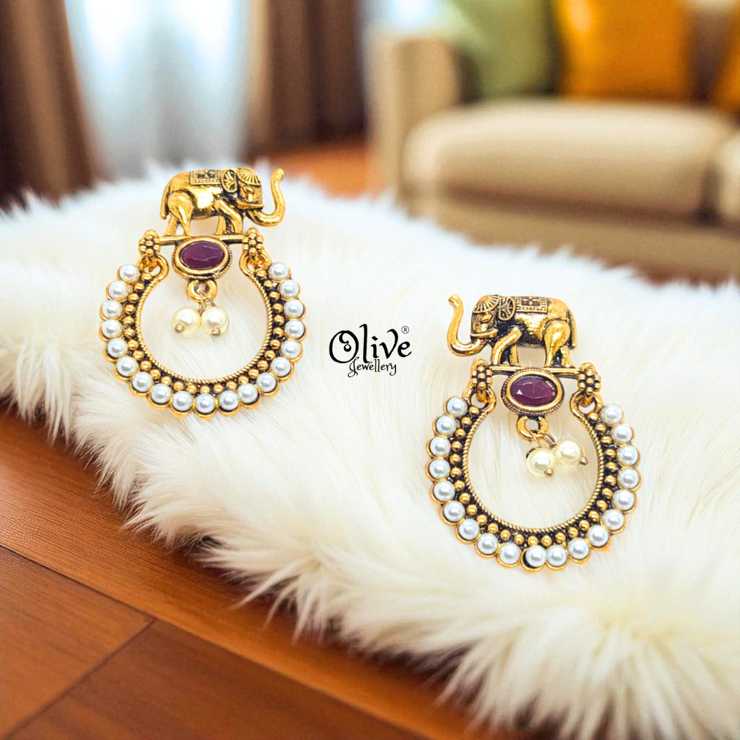 Oxidized Earrings - 574