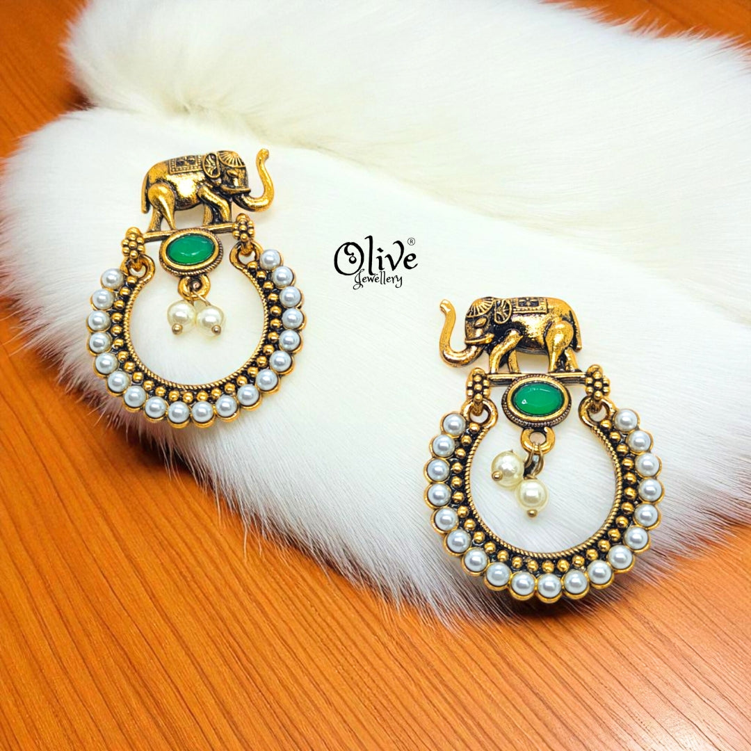 Oxidized Earrings - 574