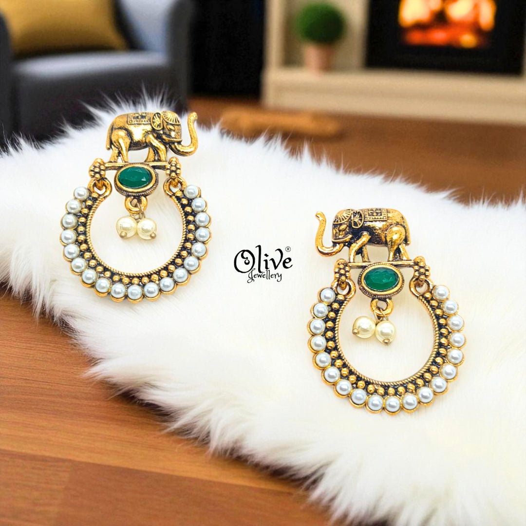 Oxidized Earrings - 574