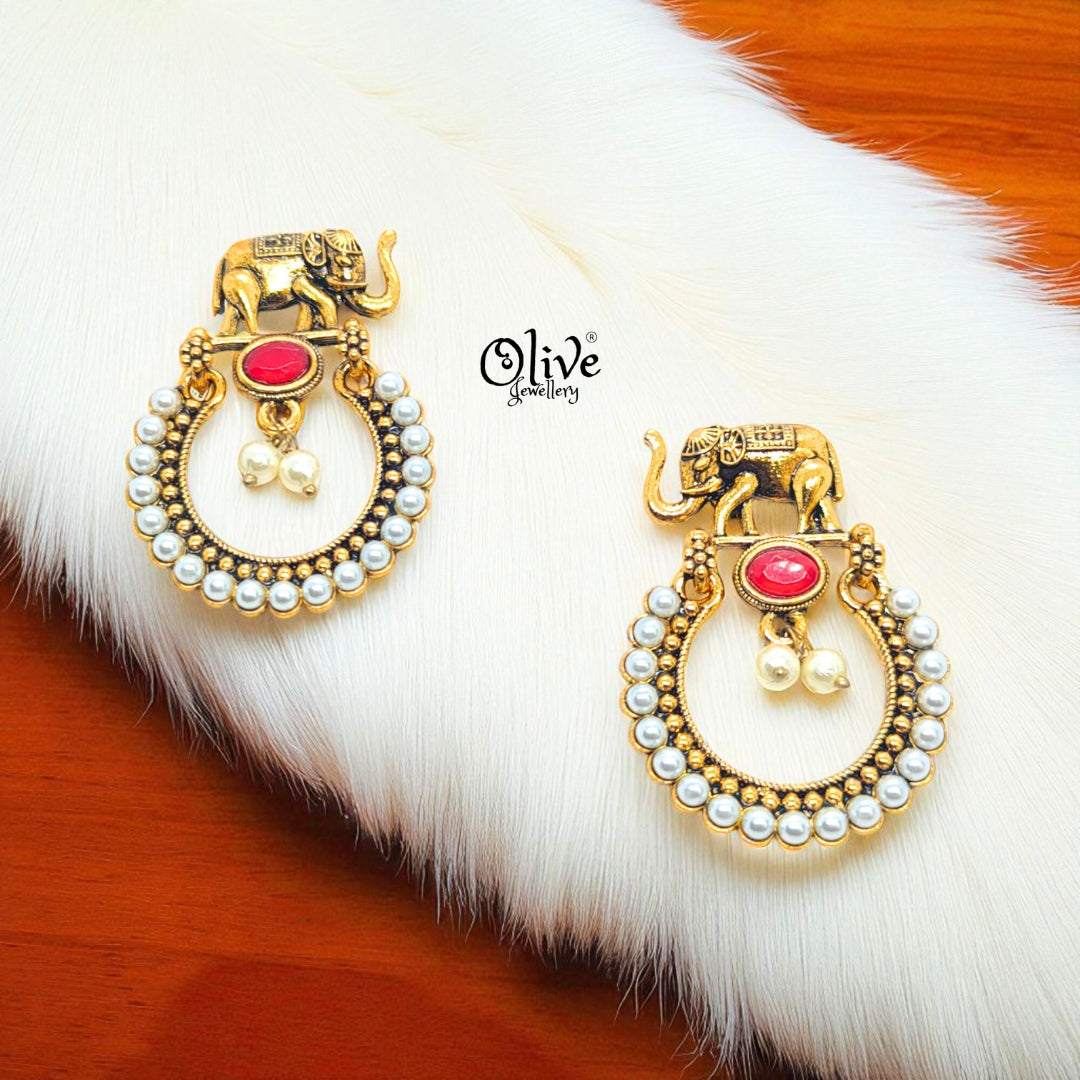 Oxidized Earrings - 574