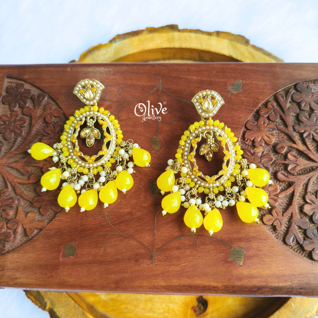 Raga Fusion Earrings - 156