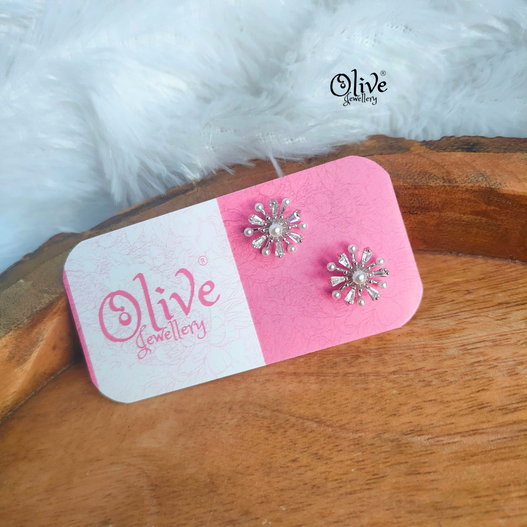 Stainless Steel Earrings - 11