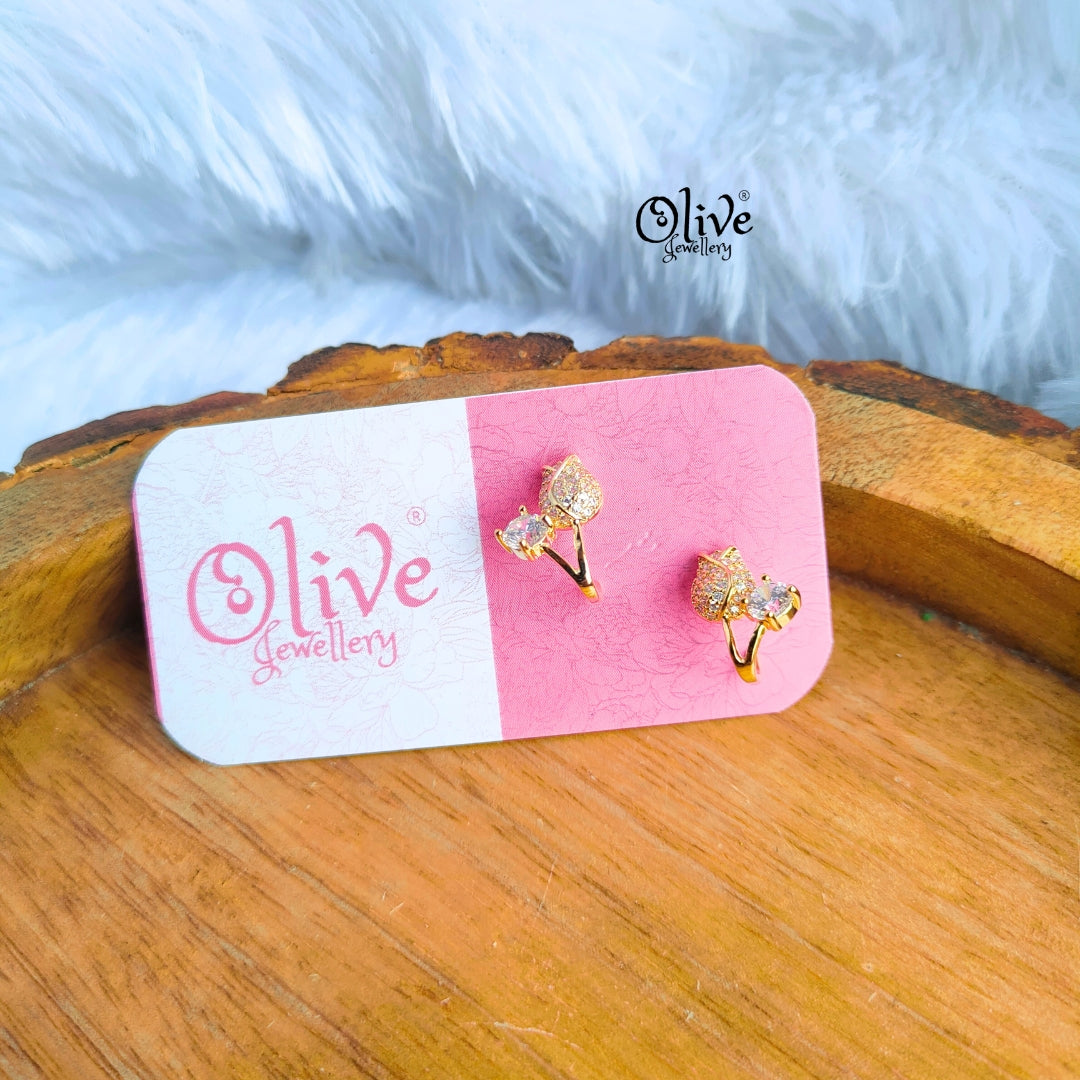 Stainless Steel Earrings - 43