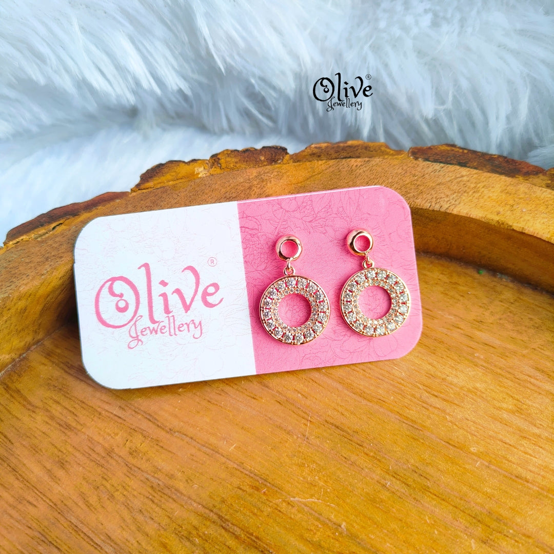 Stainless Steel Earrings - 49