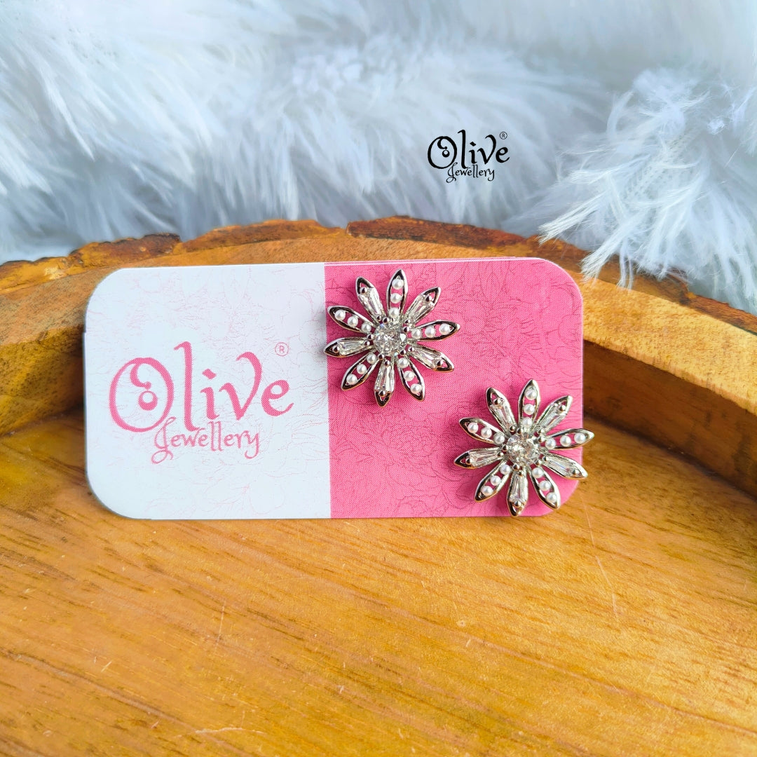 Stainless Steel Earrings - 52