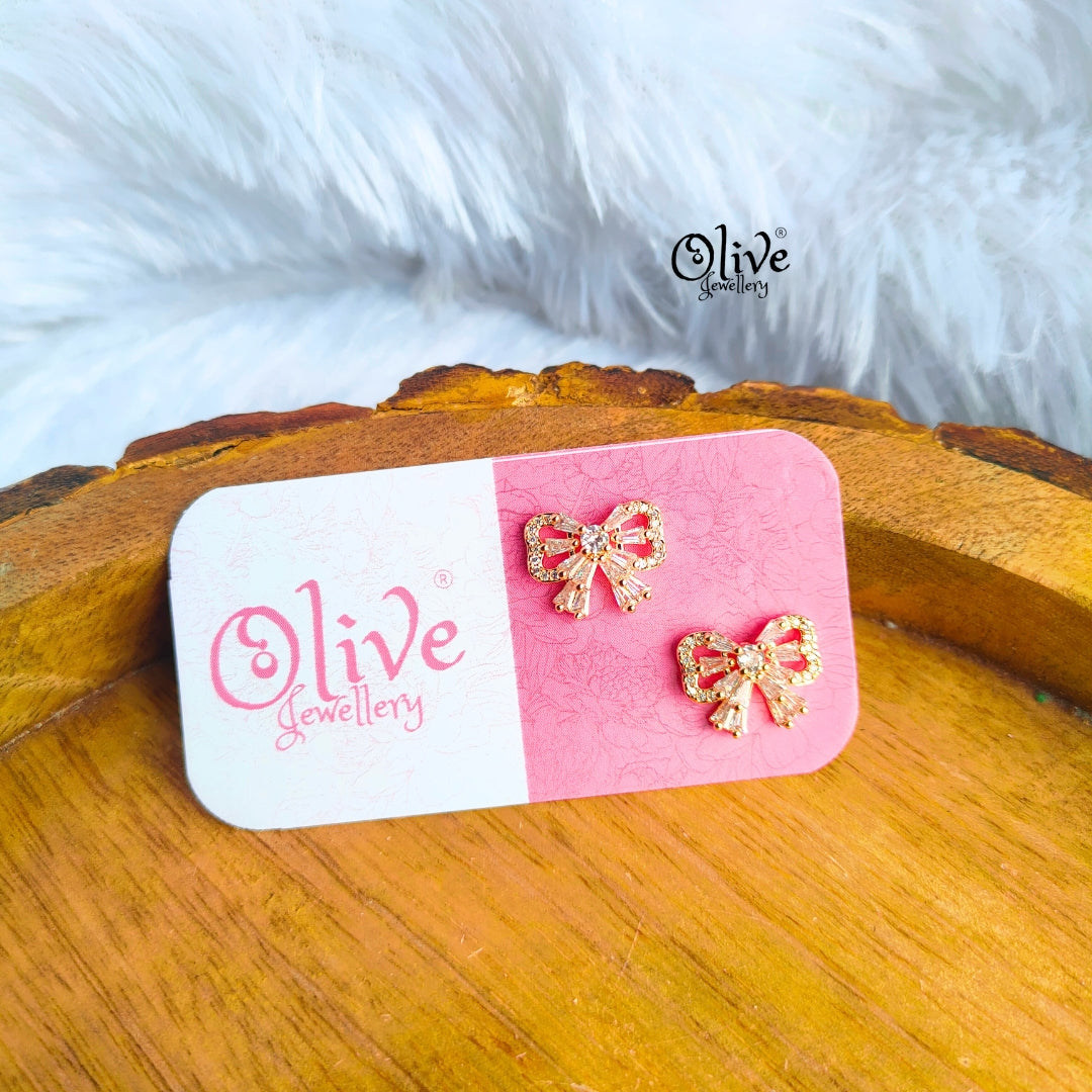 Stainless Steel Earrings - 55