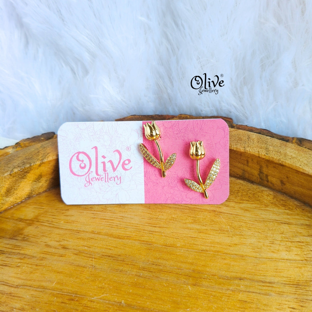 Stainless Steel Earrings - 72