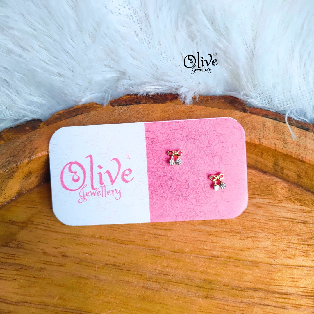 Stainless Steel Earrings - 108