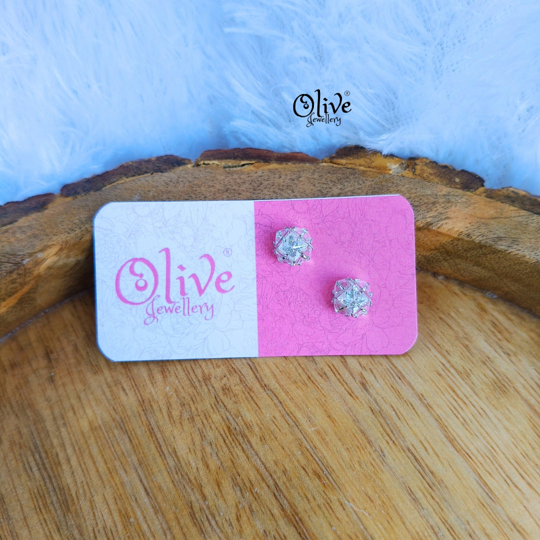 Stainless Steel Earrings - 118