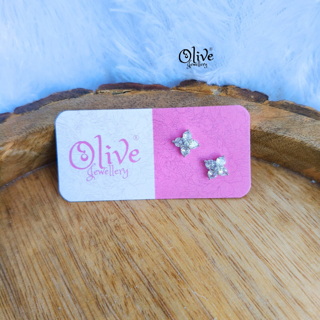 Stainless Steel Earrings - 119