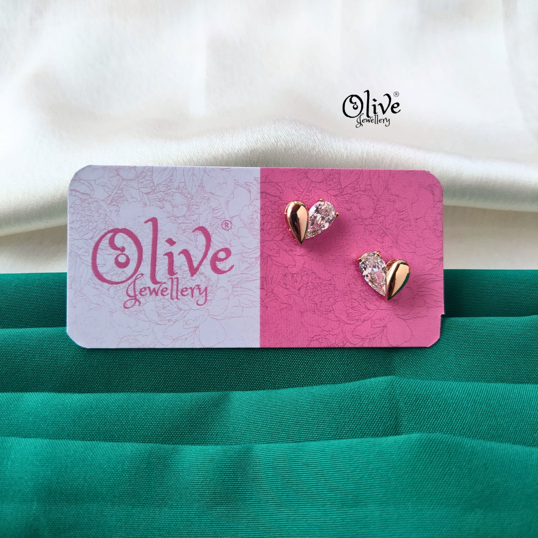 Stainless Steel Earrings - 172