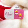 99 Collection Earrings - 180