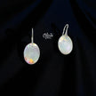99 Collection Earrings - 231