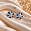 AD Earrings-148