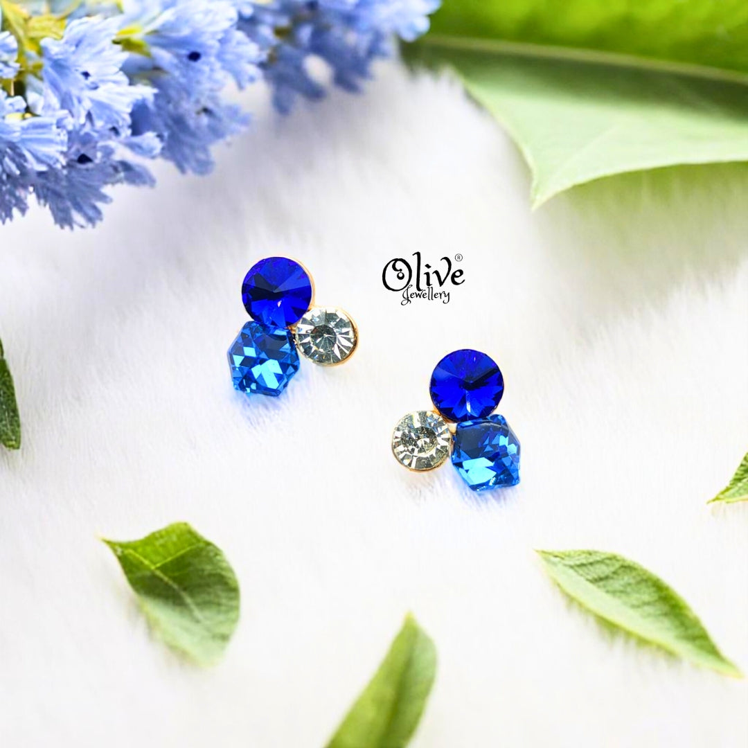Glass Collection Earrings - 58