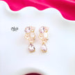 Glass Collection Earrings -353