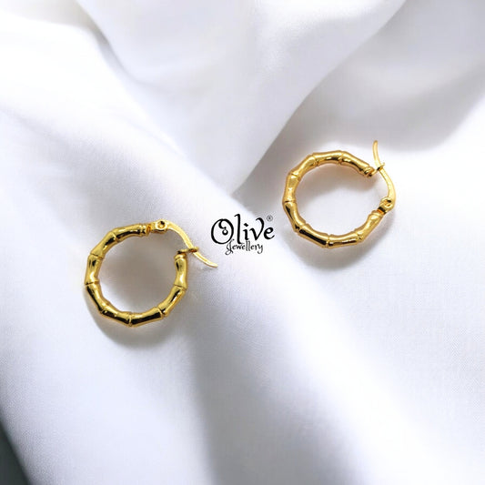 Golden Hoops Earrings - 1