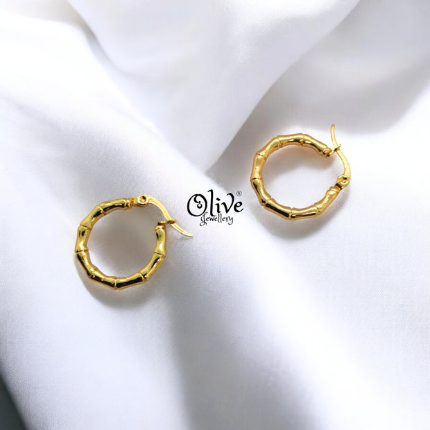 Golden Hoops Earrings - 1