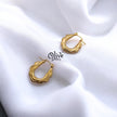 Golden Hoops Earrings - 9