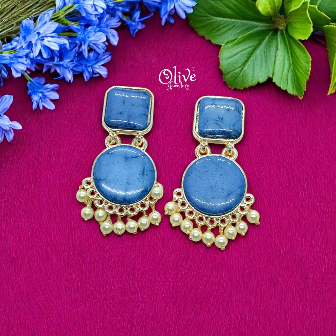 Oxidized Earrings - 27