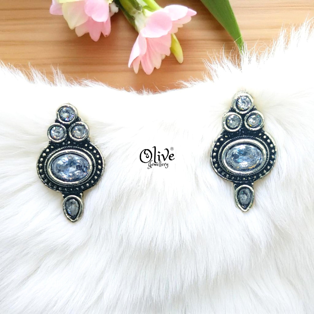 Oxidized Earrings - 104