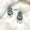 Oxidized Earrings - 164