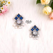 Oxidized Earrings - 433