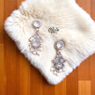 Oxidized Earrings - 488