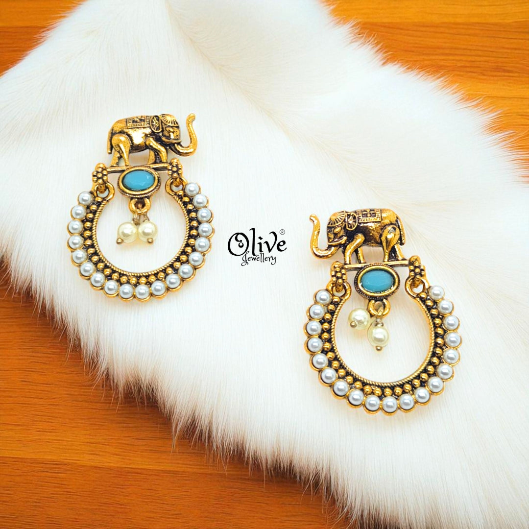 Oxidized Earrings - 574
