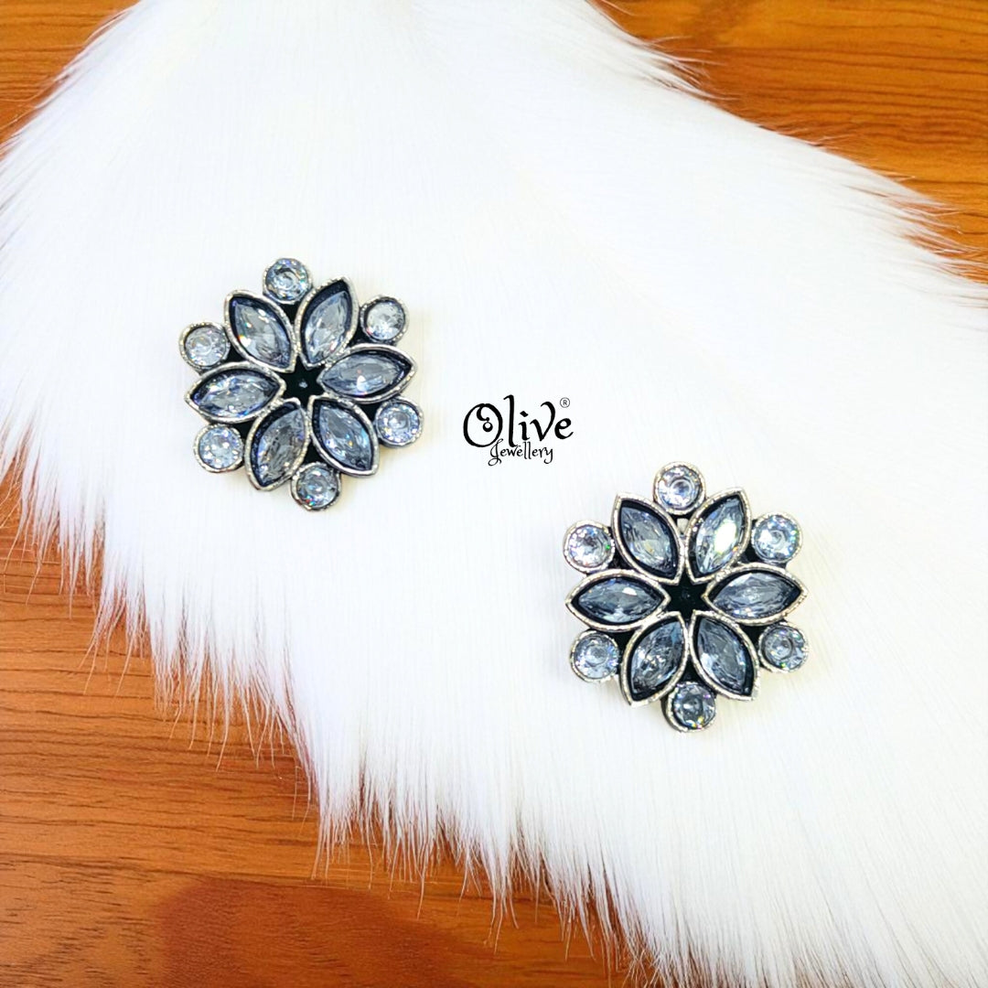 Oxidized Earrings-651