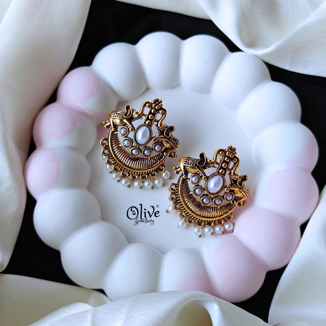 Oxidized Earrings-876