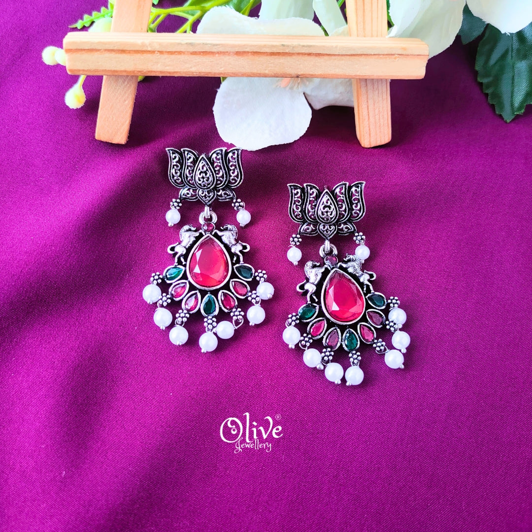 Oxidized Earrings-027