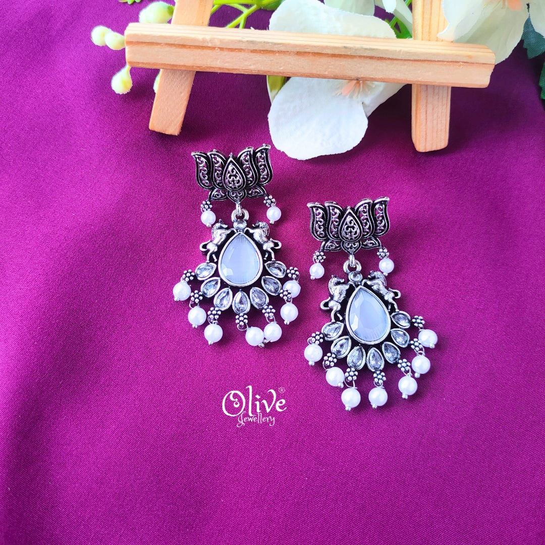 Oxidized Earrings-027