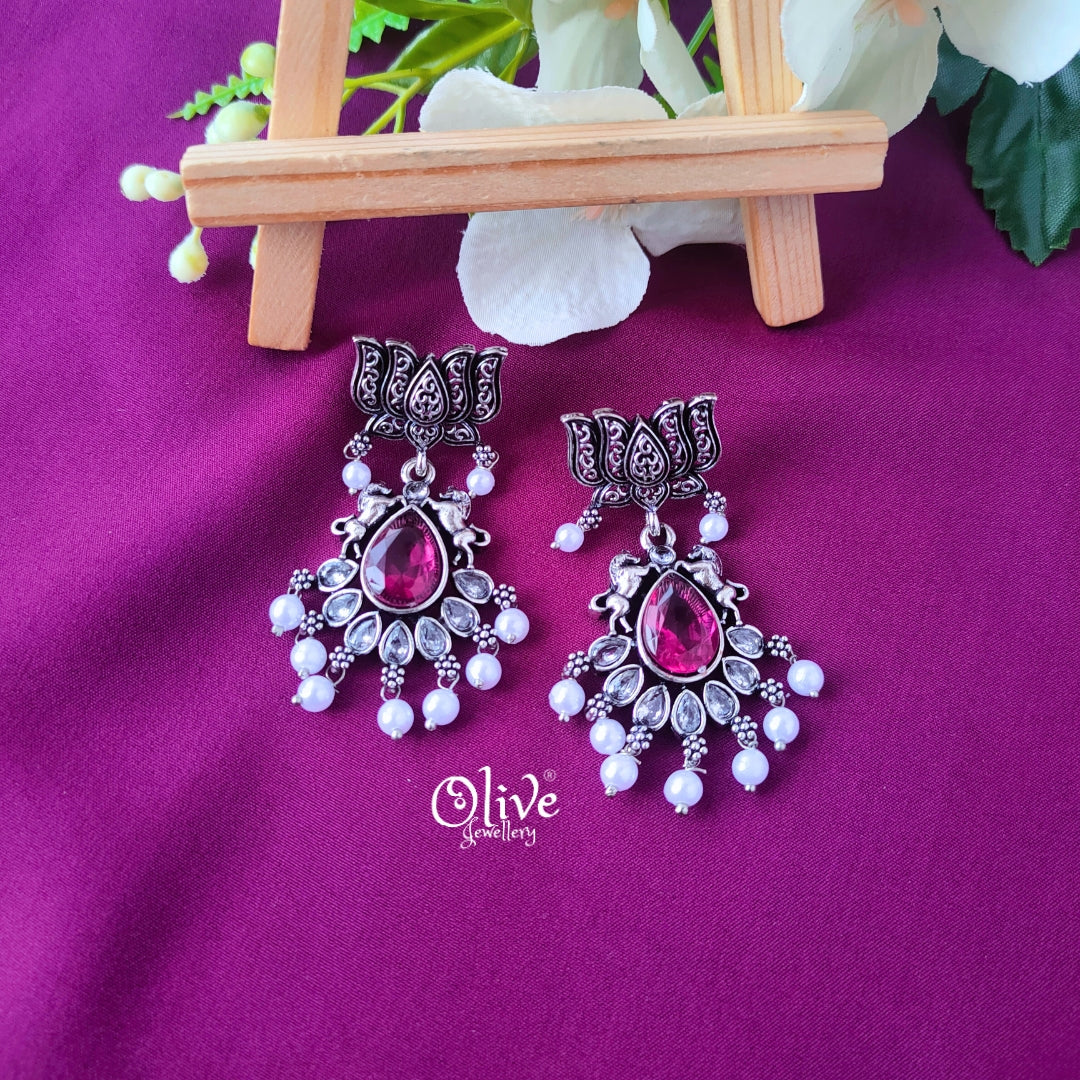 Oxidized Earrings-027