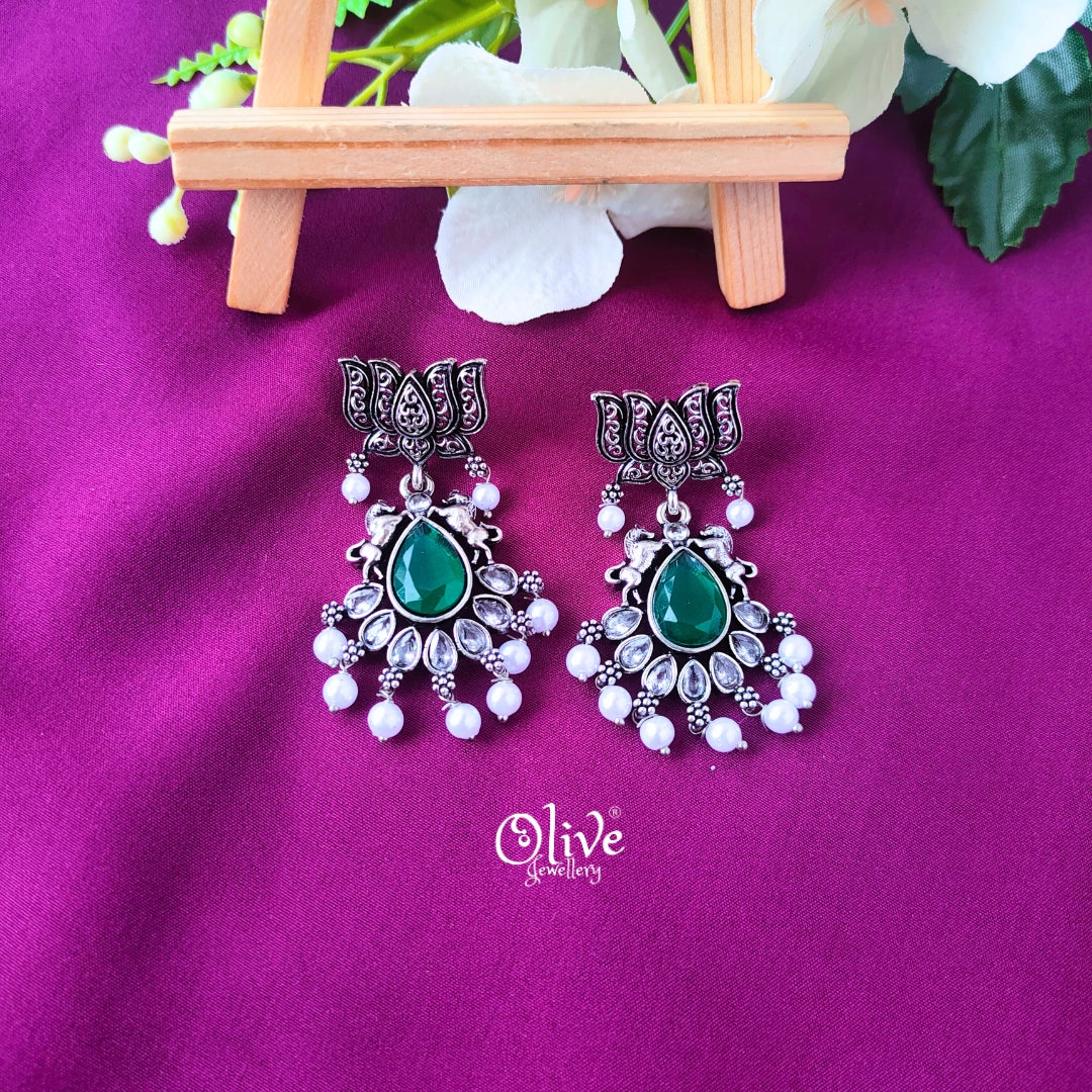 Oxidized Earrings-027