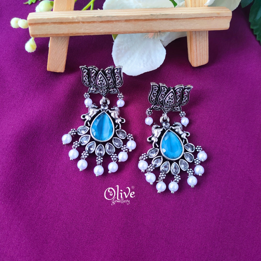 Oxidized Earrings-027