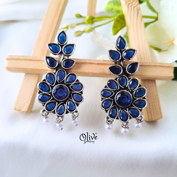 Oxidized Earrings-1233