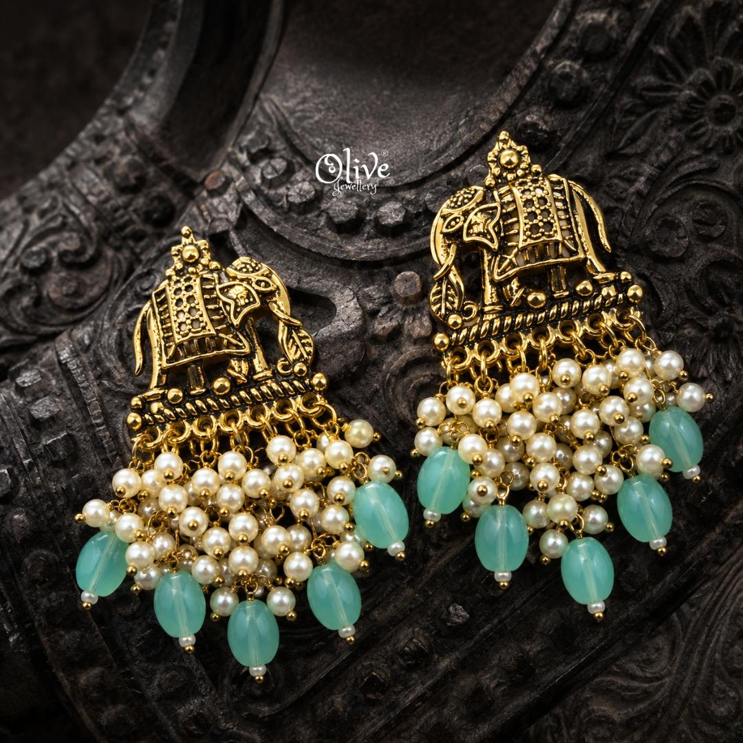 Oxidized Earrings-1253