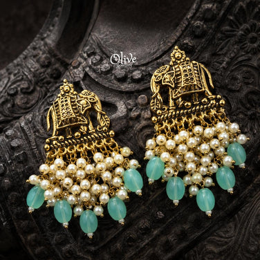 Oxidized Earrings-1253
