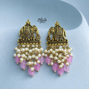 Oxidized Earrings-1253