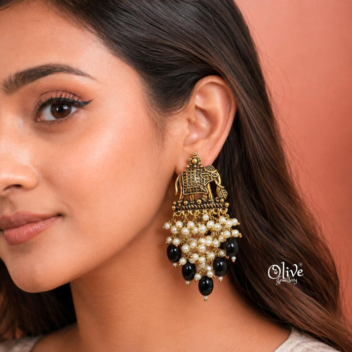 Oxidized Earrings-1253