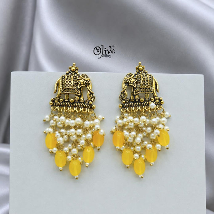 Oxidized Earrings-1253