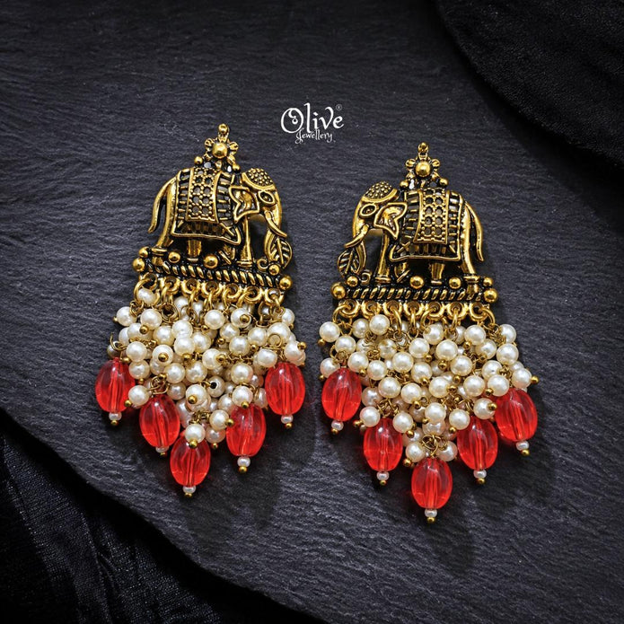 Oxidized Earrings-1253