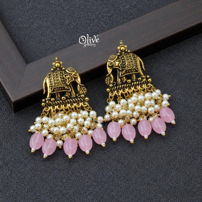 Oxidized Earrings-1253